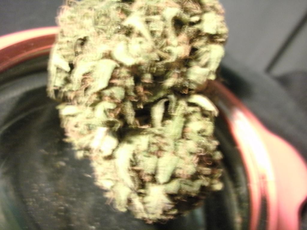 cheese2_zpsdb8f3d1f.jpg