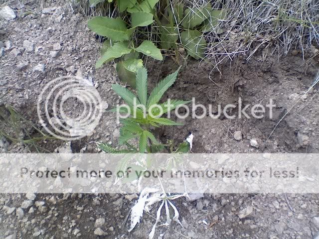 Outdoor3060709.jpg