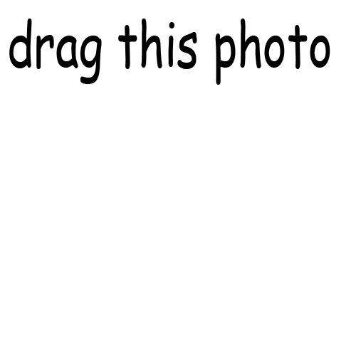 tumblr_m7shp2XCDx1qkpnlko1_500.png
