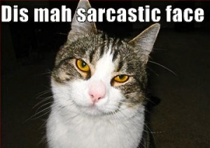 sarcastic-cat.jpg