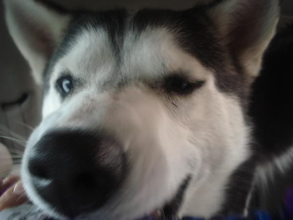 l_00a1e3f4c5fe845e989c117a4a08689b.jpg