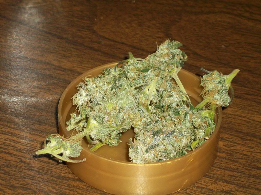 Harvest1Dry6.jpg