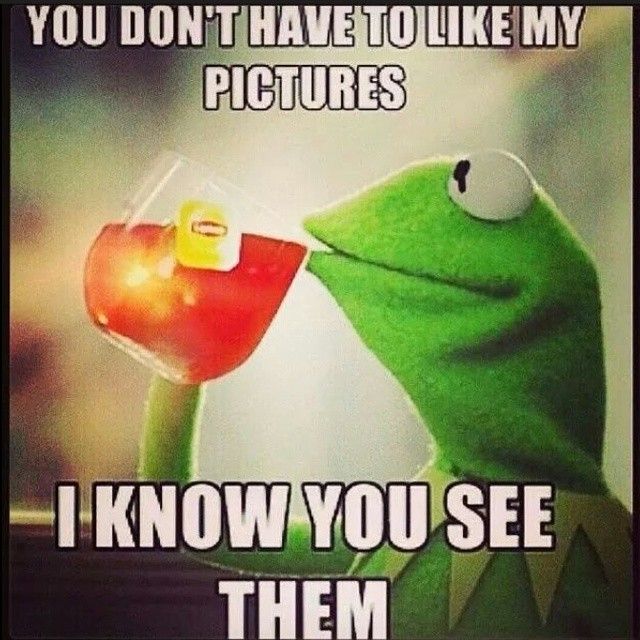 4f359f4b1321ae9ff1a25fb5d942254a--picture-comments-frogs.jpg