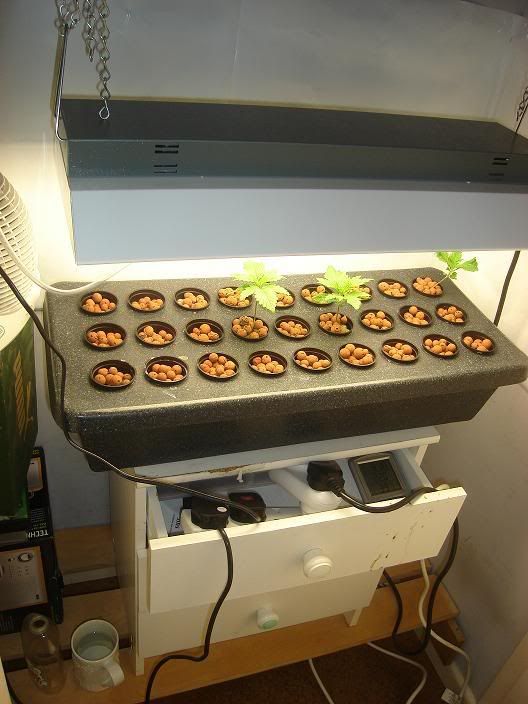 CuttingBoardPumpFluroslampHydromete.jpg