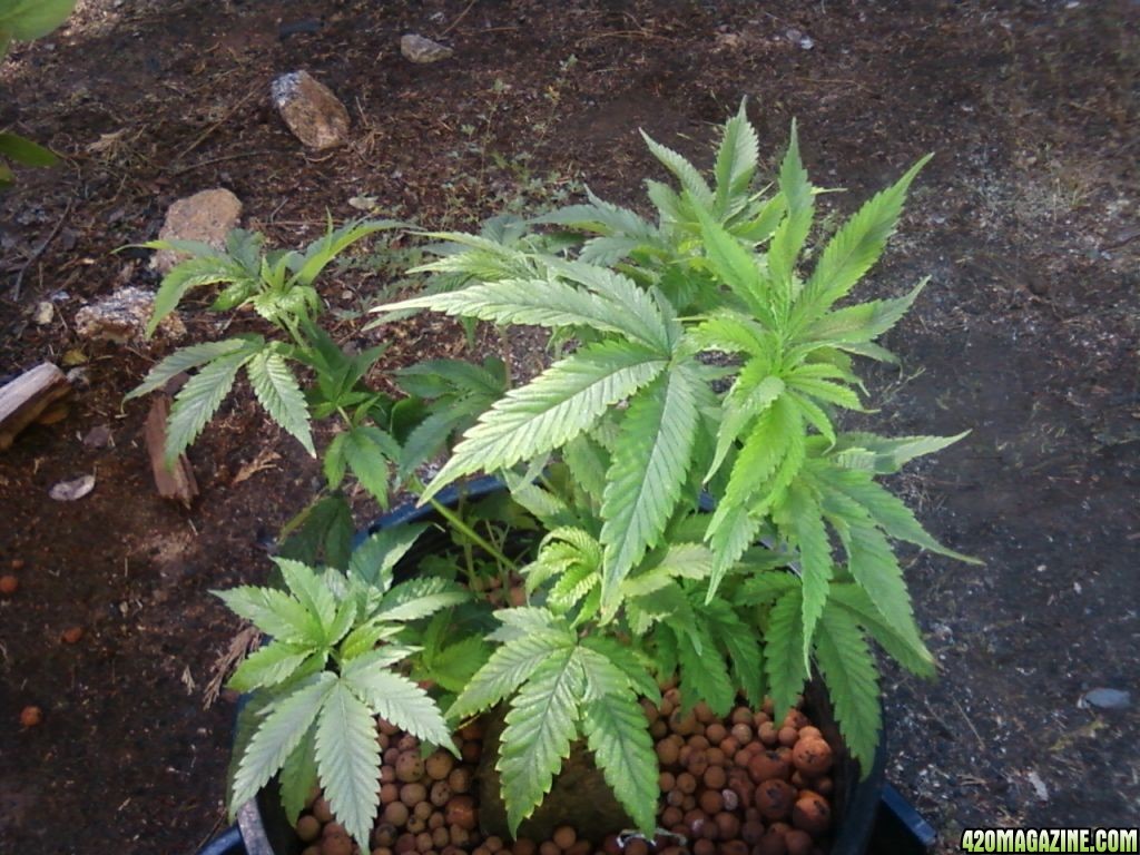 0809111538.jpg