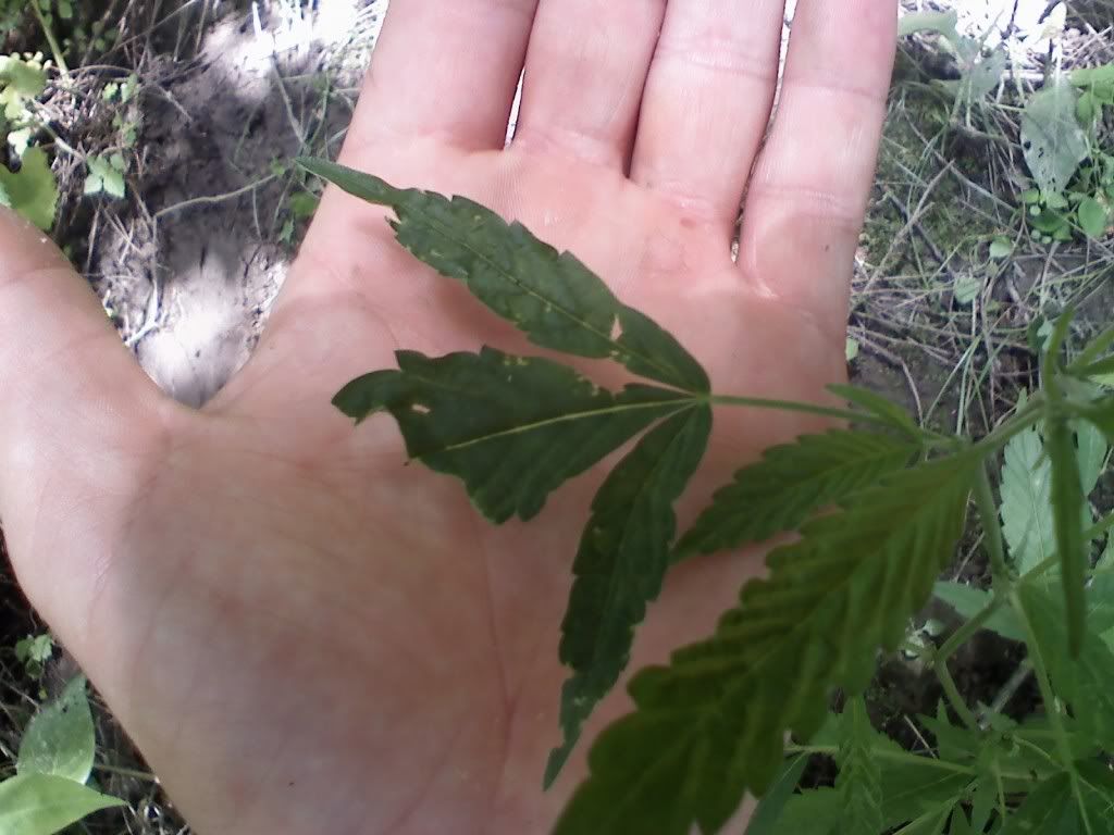 0615091409.jpg