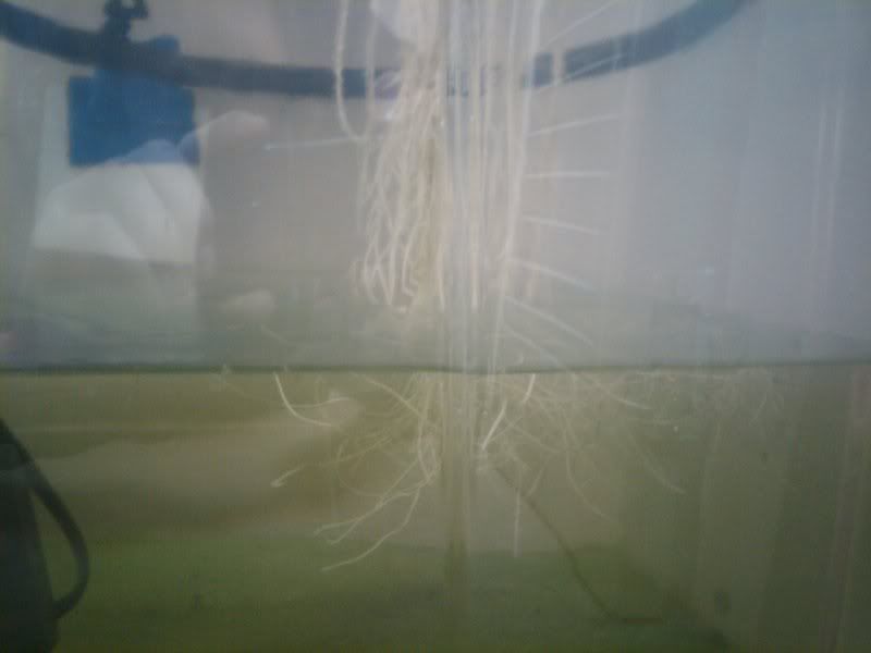 08-11-2010135540.jpg