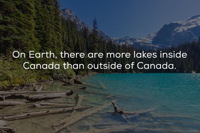 fake_sounding_facts_01.jpg