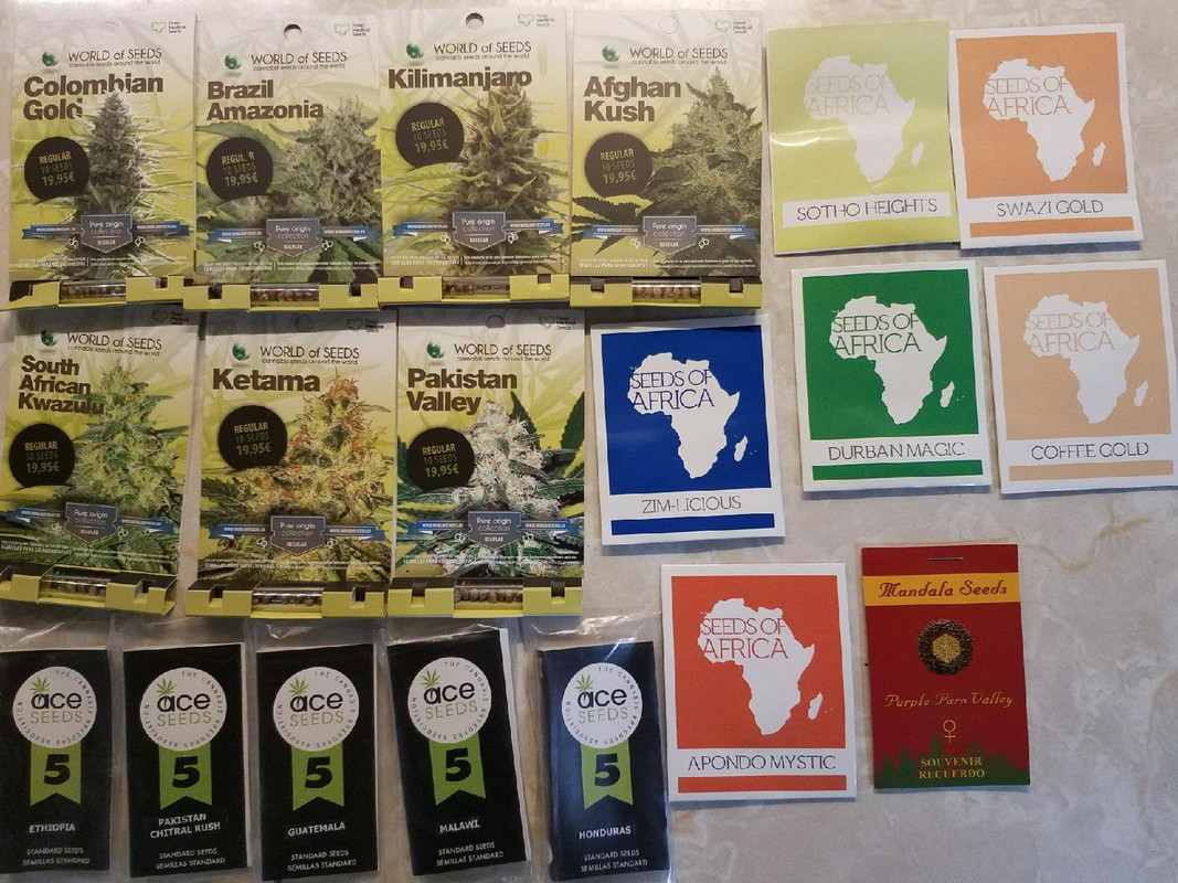 seedsa.jpg