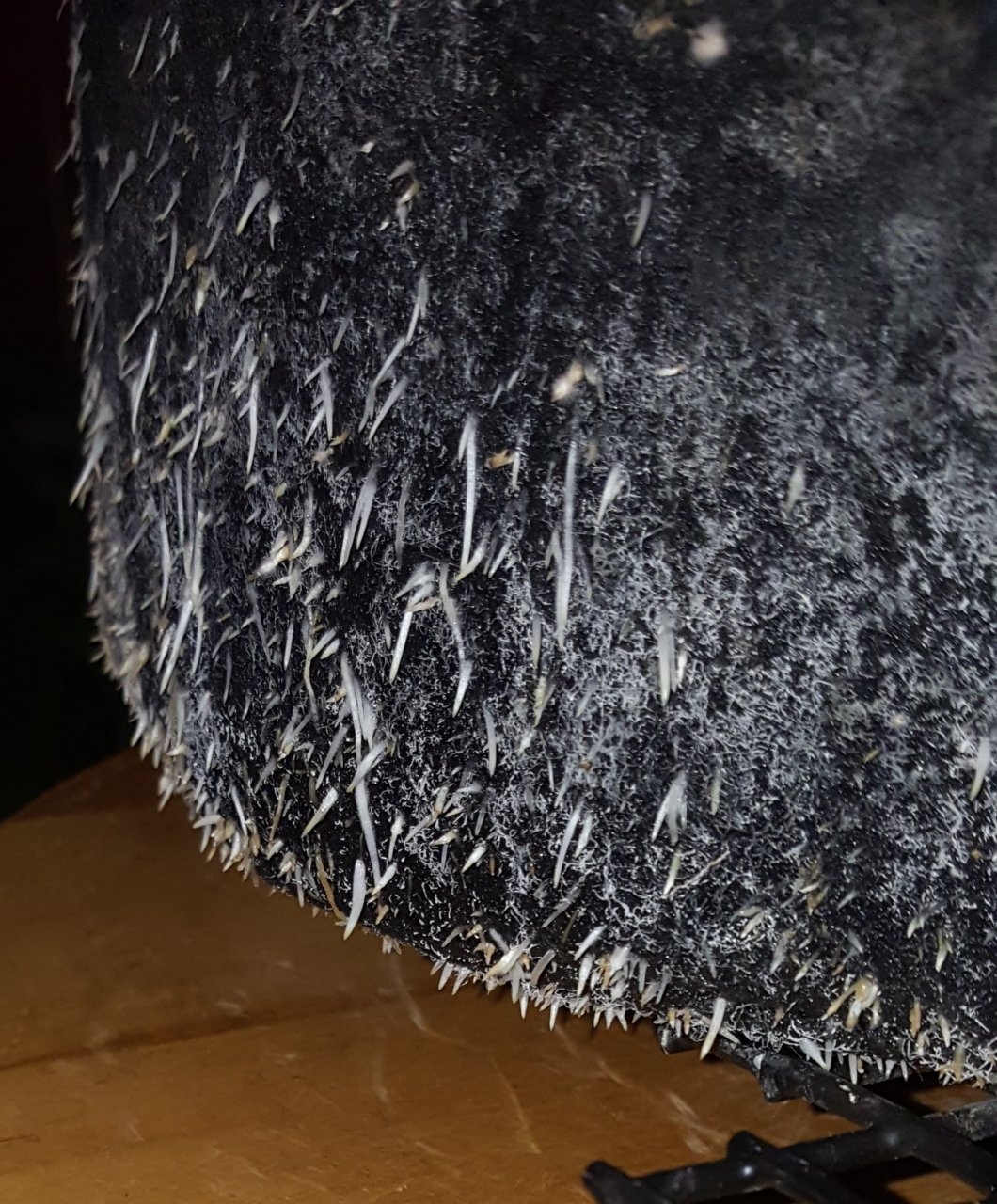 20181007_115848-jpg.1625166