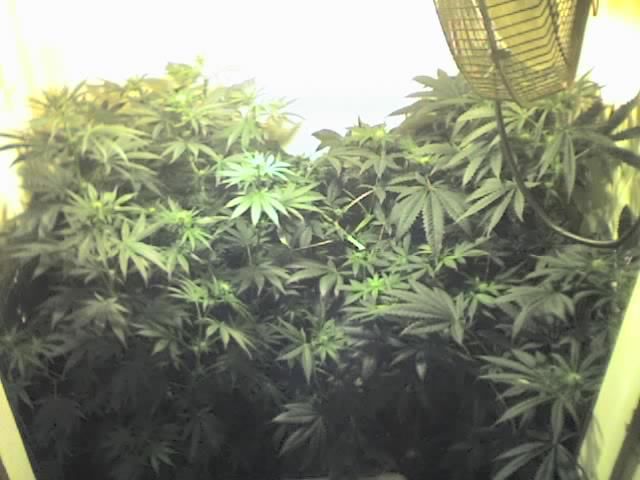 10-25-07_1605.jpg