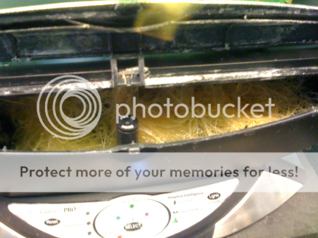 990c6c76.jpg