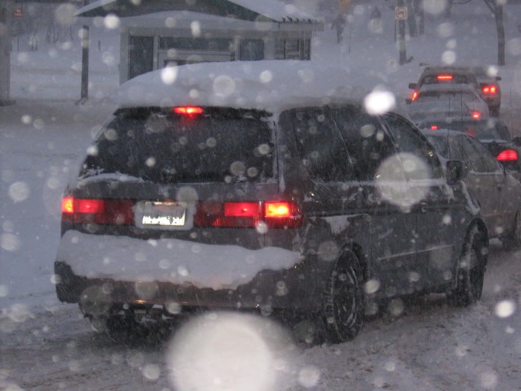 cindy99117.jpg