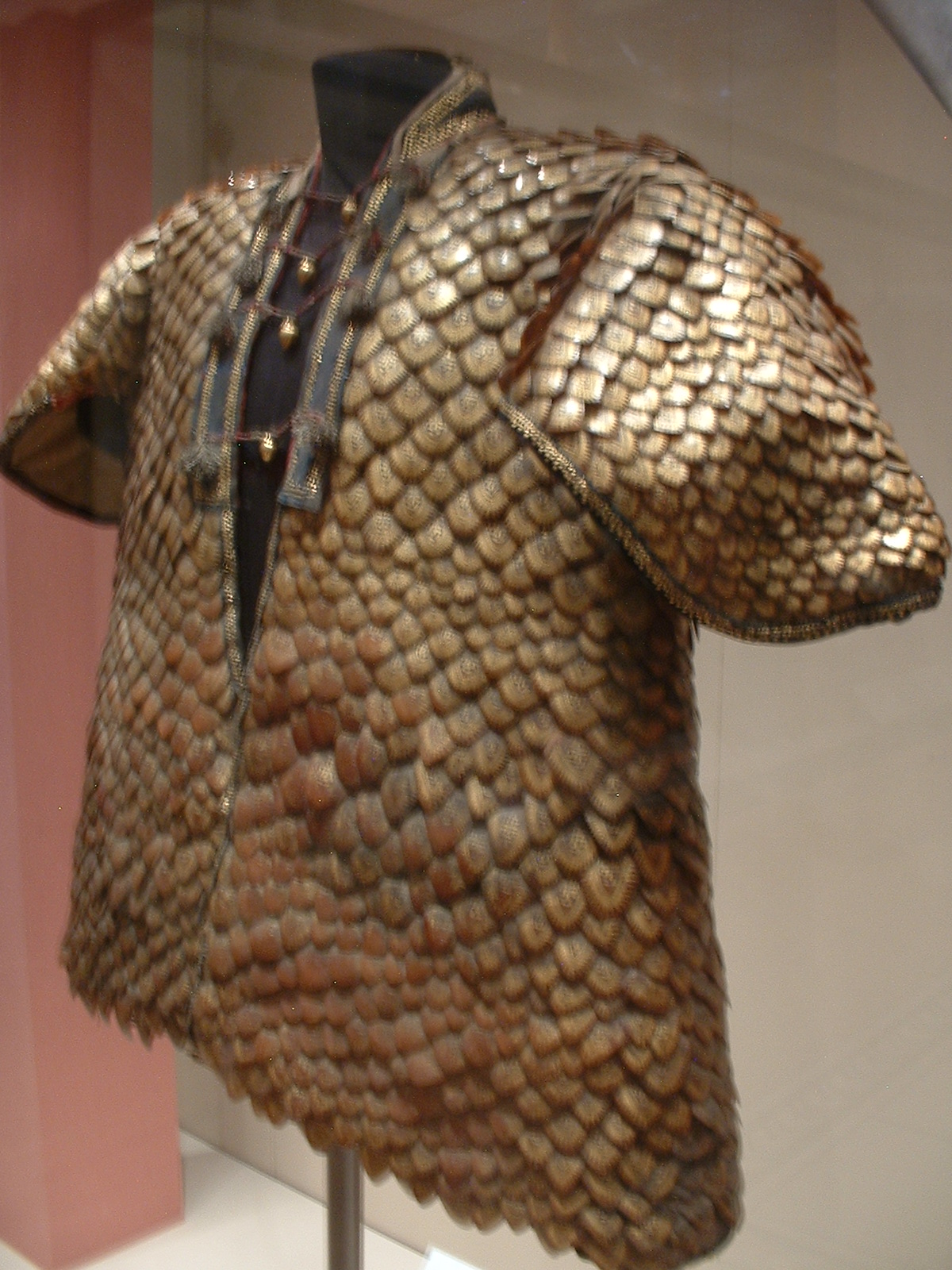 Coat_of_Pangolin_scales.JPG