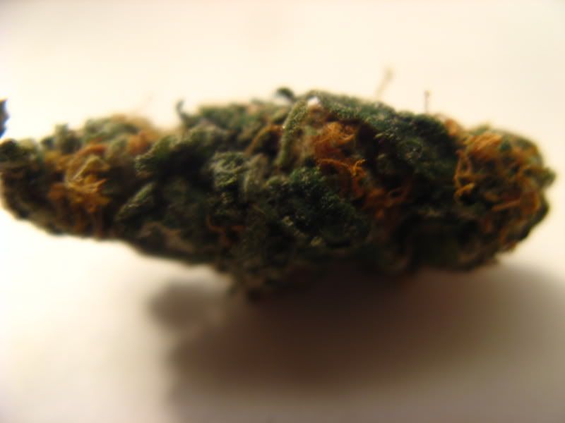 Smoke279.jpg