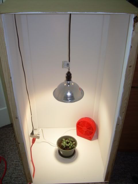 TestGrowbox.jpg