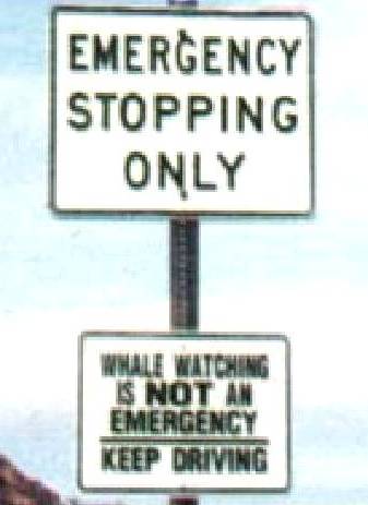 funny_sign_24.jpg