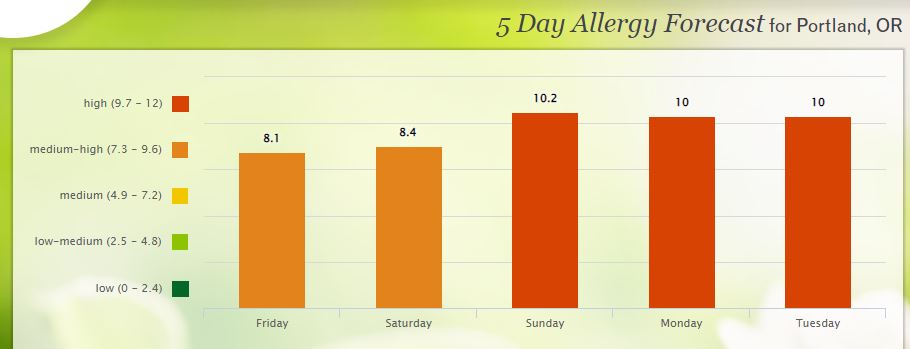 pollen3252022.jpg
