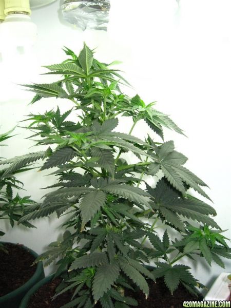 BB_CC_Update_Sep21_081.jpg