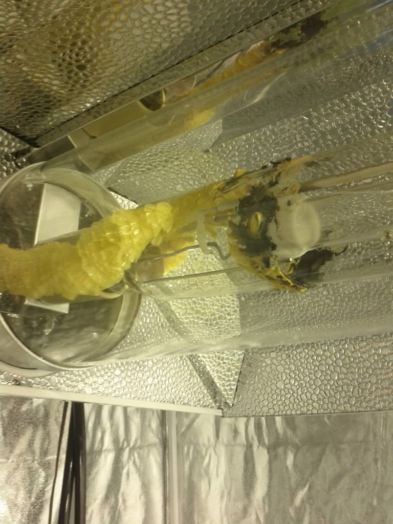 IMG_20120102_203202.jpg