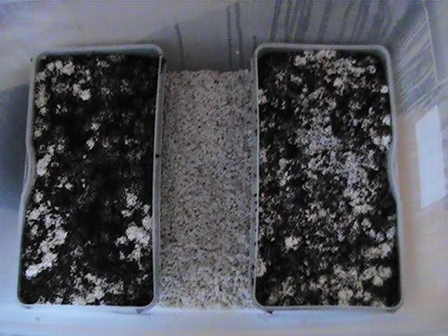 B0000194.jpg