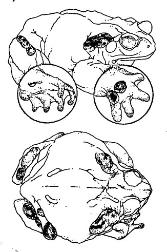 post-13626-138186640002.jpg