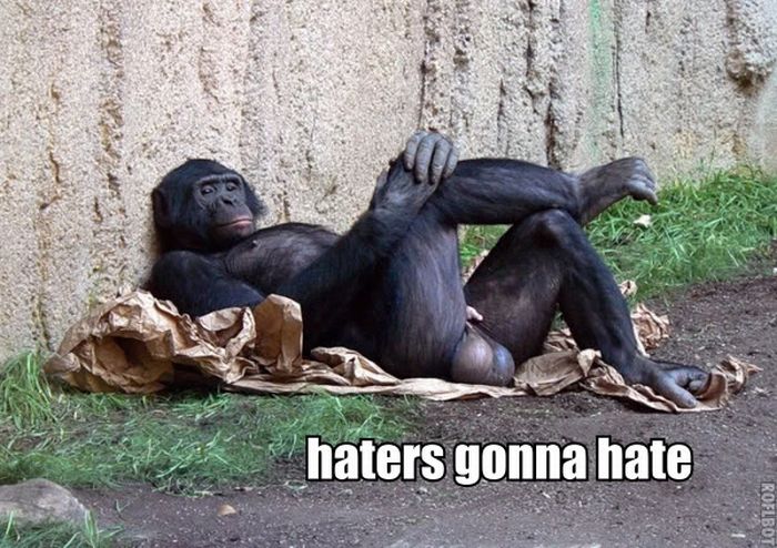 the_best_of_haters_gonna_hate_youll_see_all_day_16.jpg