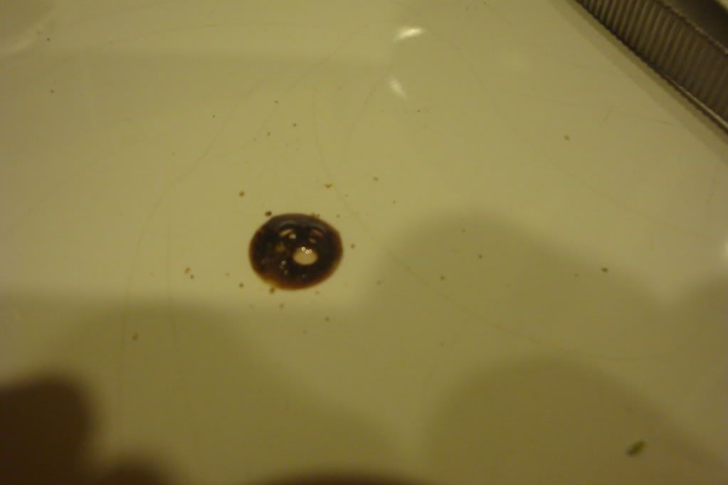 DSC02853.jpg