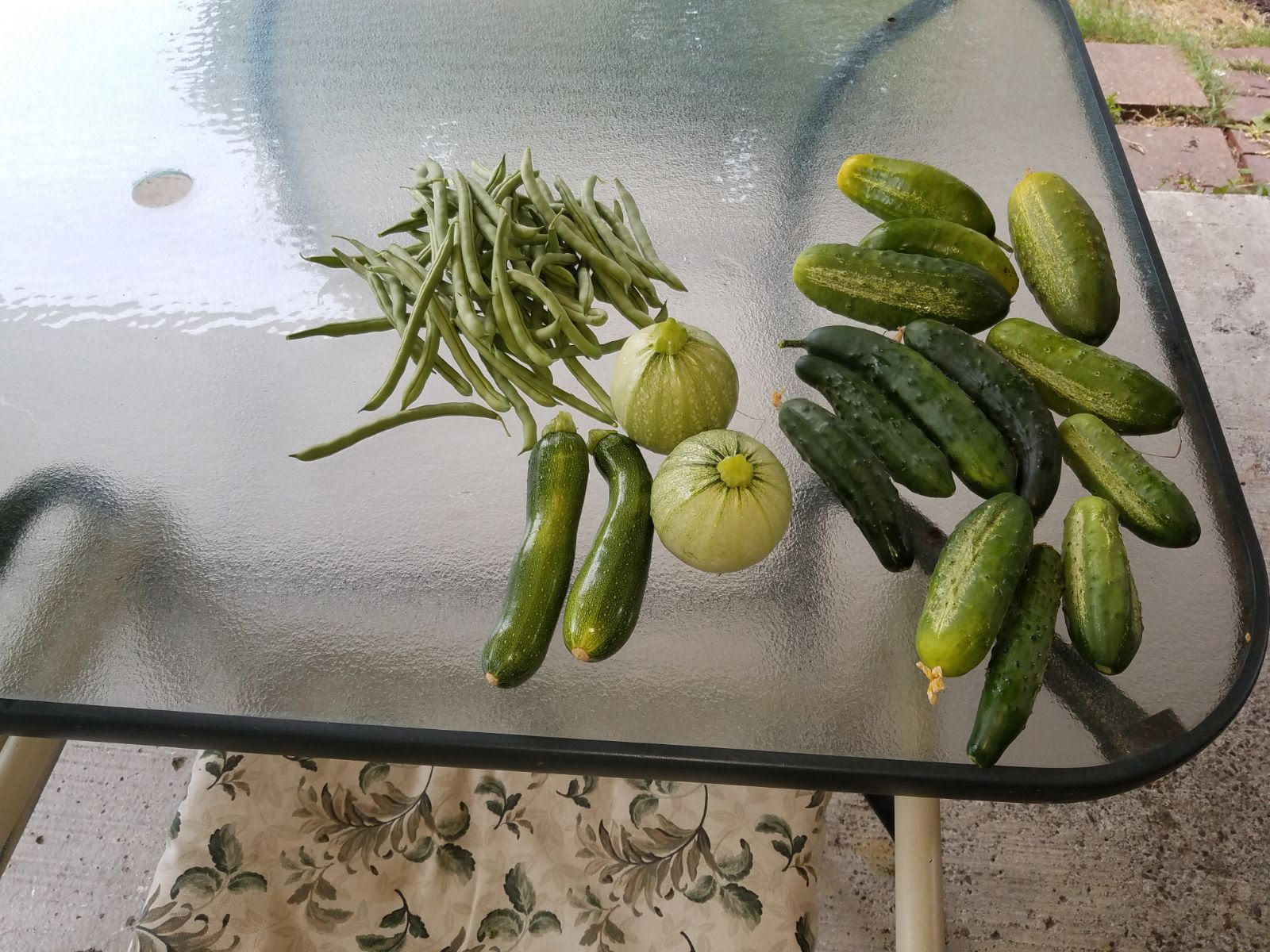 8519veggies.jpg
