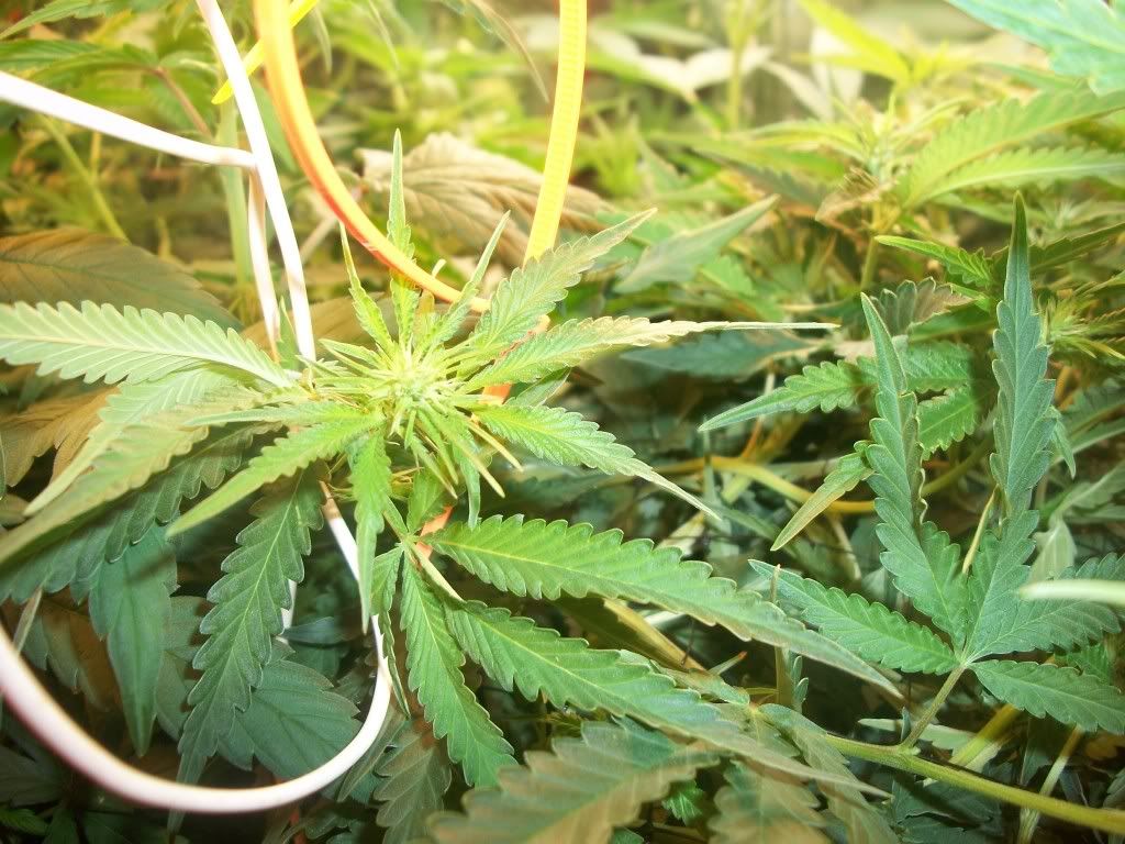 9-20-11011.jpg