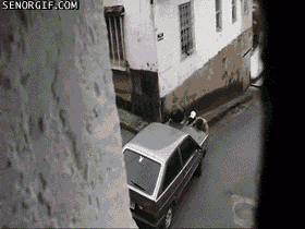 gifs_07.gif
