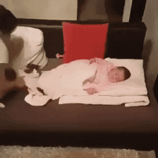 1675332184_1.gif