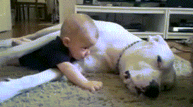 Baby-and-Dog-Cuddle.gif