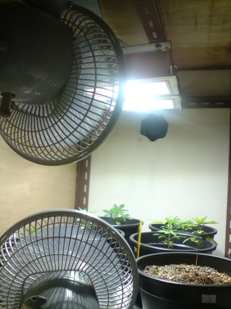 DSC00095.jpg