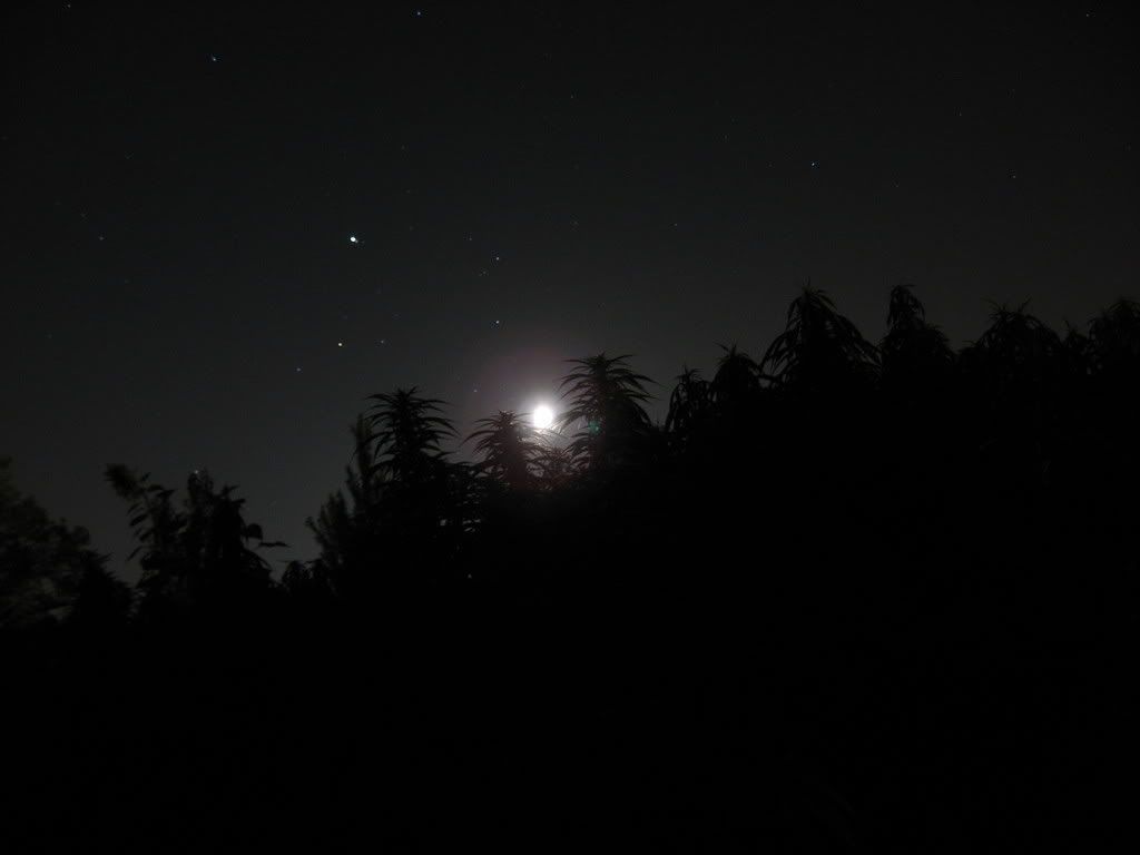 IMG_2069.jpg