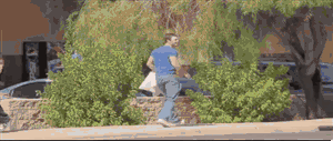 qAecTTn.gif