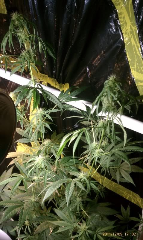 IMAG0066.jpg
