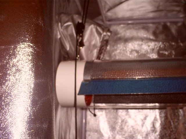 tent3.jpg