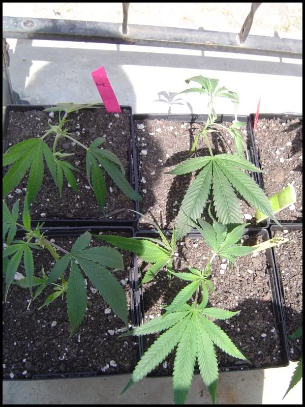 Outdoor_09_Pic2.jpg