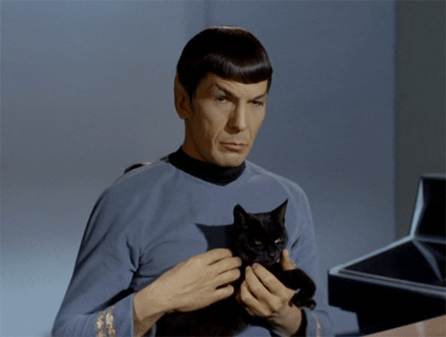 B51EAJ0Frooq4.gif