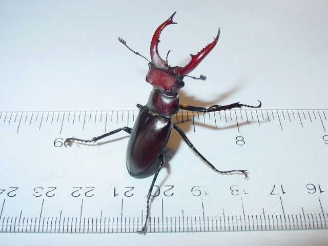 ab_zpsca27891a.jpg