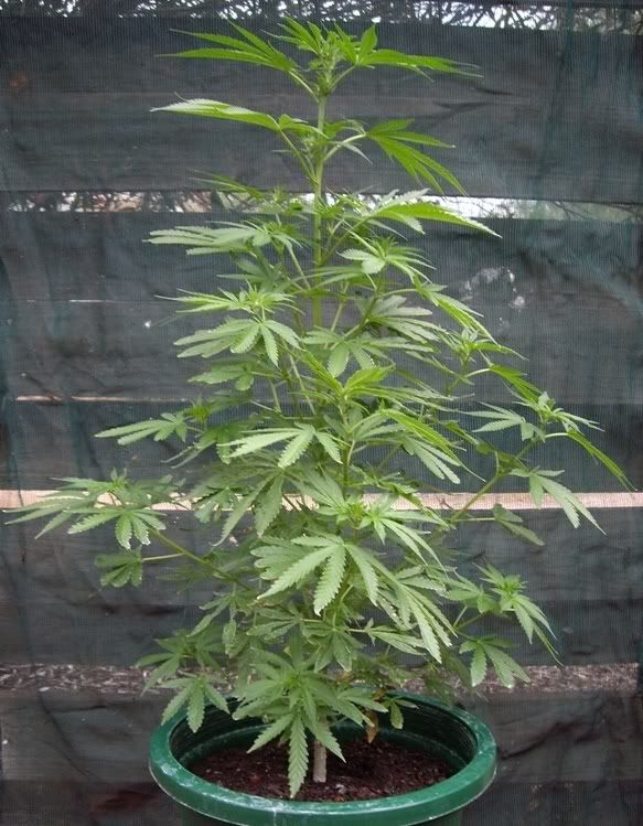 280220072.jpg