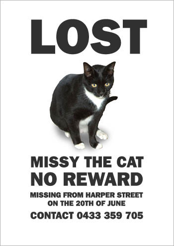 missing_missy5.jpg
