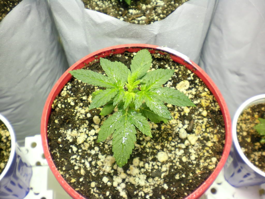10-11-11007.jpg