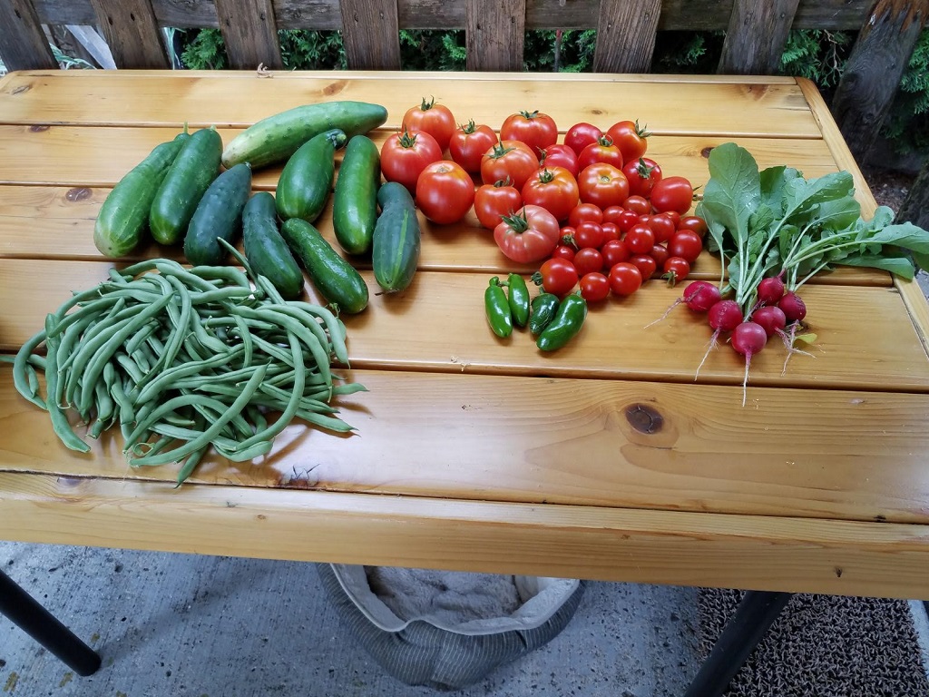 harvest1a.jpg
