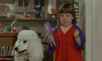 gifs_02.gif