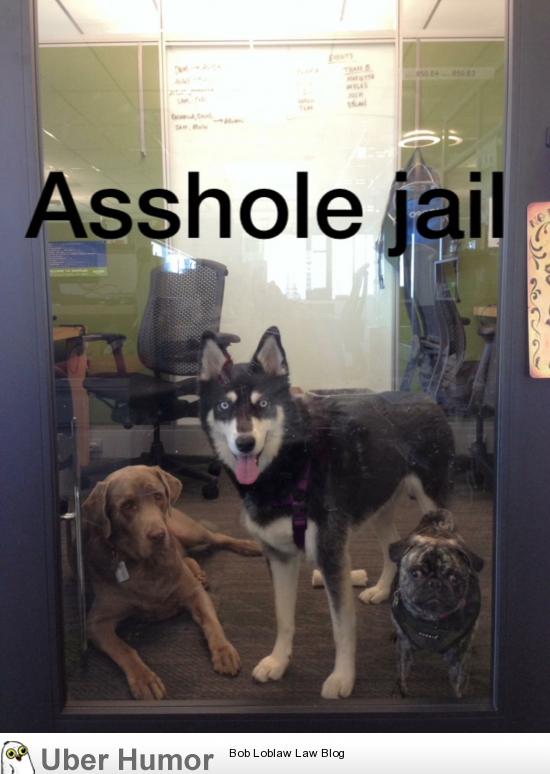 ee3f7ea1a0c34f359d4589fe4b4e10a81.jpg