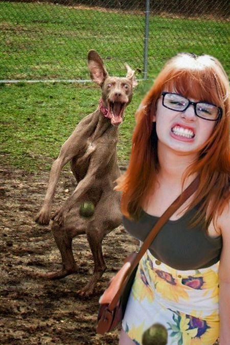 acid_picdump_72.jpg