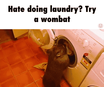 9c06a94783c2e86c262043fd63735cc0.jpg