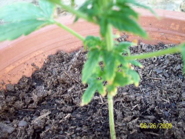 000_0003-1.jpg